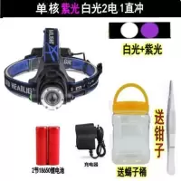 蝎子灯捕蝎灯新款可充电专业照逮蝎子头戴式强光超亮头灯紫光专用 变焦白光紫光2锂电池1直冲