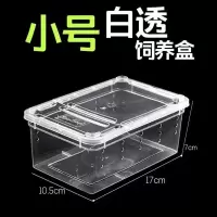 爬宠 爬虫 亚克力无毒饲养盒,角蛙,蜘蛛,蝎子,守宫等 小号透白盒(送镊子 滴管)