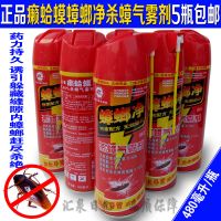 5瓶装]癞蛤蟆蟑螂净杀蟑气雾剂480毫升灭杀蟑螂蚂蚁饭店餐厅 480ml*5瓶