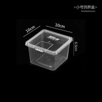 蚕宝宝饲养箱爬宠饲养盒蜘蛛守宫蜥蜴蜈蚣甲虫角蛙两栖乌龟饲养盒 中号方盒10*10*6.5cm
