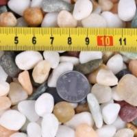 [1斤]天然石 天然五彩石 雨花石鹅卵石鱼缸乌龟用品小石头子水培石居家园艺装饰花石子 中号天然石 1斤