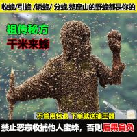 神奇招蜂水诱蜂神器引蜂水收蜂水诱蜂液收捕野蜜蜂信息素蜜蜂工具 100g一瓶装+捕王器1个