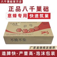 八千巢础中蜂巢础意蜂巢础蜜蜂蜡深房巢脾厂家蜂箱养蜂工具 04意蜂巢础【厂家直销】