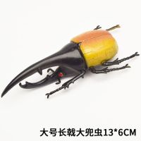 大号昆虫玩具模型仿真甲虫天牛套装甲壳虫独角仙吓人整蛊玩具爬虫 大号长戟大兜虫