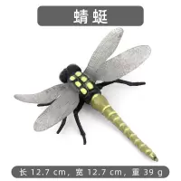 精致大版昆虫动物模型仿真瓢虫蜻蜓蝴蝶蝗虫甲虫蝎子蜻蜓儿童玩具 蜻蜓