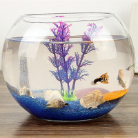 鱼缸透明玻璃办公桌创意水培圆形圆球圆型小型乌龟迷你桌面金鱼缸 肚径15cm圆球+彩石+贝壳+定植篮