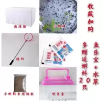 蝌蚪活体蛙苗圆头苗幼苗中苗活的蛙苗饲料送蛙粉观赏易养水族宠物[7月5日发完] 青蛙蝌蚪 小蝌蚪专用饲料一个月量