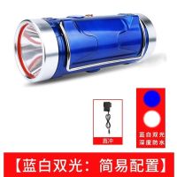 猎霸钓鱼灯超亮夜钓灯夜光蓝白光大功率氙气灯强光台钓装备饵灯 双光源白+蓝【低配版两锂电】