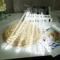 流星雨灯LED闪灯串灯 节日挂树上装饰七彩灯管户外亮化防水流水灯 白光[防水款] 30公分 8根装[插电款]