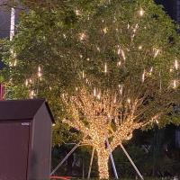 流星雨led灯流星灯亮化树灯装饰灯七彩户外防水景观庭院彩灯闪灯 30公分(一套8支装)暖白