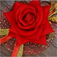 婚庆新娘新郎伴娘胸花婚礼贵宾嘉宾迎宾父亲母亲结婚仿真胸花用品 新郎新娘一对 一对