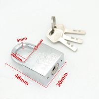 百鸿防撬安全锁具挂家用迷你小锁头柜门大铁门寝室宿舍防盗锁子 短挂锁 30通开锁(每个1钥匙)