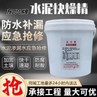 水泥快燥精 快干剂工地专用掺水泥应急抢修混凝土增强剂 极速硬化