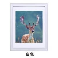 实木欧式相框挂墙20 14 16 18 24 30 32寸 4K 8k开A3拼图裱画框A4 白色 A4挂墙[29.7*2
