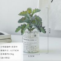 多肉仿真植物 ins北欧盆栽仙人掌绿植装饰假花桌面小摆件室内客厅 小玻璃杯+月牙叶