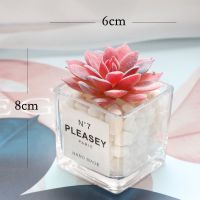 仿真多肉植物小盆栽ins北欧仙人掌假花书架桌面绿植家居装饰摆件 D款