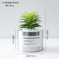 北欧ins客厅仿真花绿植假花装饰品花瓶房间办公室桌面盆栽小摆件 小号银铁罐+神仙草