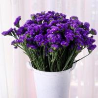 论斤卖 云南勿忘我干花花束天然真花插花 家居客厅装饰摆件满天星 深紫勿 2斤 不含桶 干花包