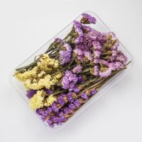 蔓玥 DIY混装花盒混合干花花材包手工材料包家居装饰真花风干天然 勿忘我混色系花材 干花包