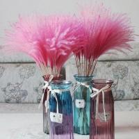 芦苇干花大穗落地式客厅摆件拍摄道具婚礼场景布置永生真花大束 40厘米粉色10支