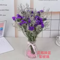 满天星干花花束真花风干勿忘我天然鲜花插花客厅居家装饰摆件花瓶 紫色勿忘我情人草 不含花瓶