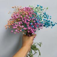 满天星干花花束批发云南真花客厅家居摆设鲜花小清新插花瓶永生花 6支装[体验款]+6色混搭 不带瓶