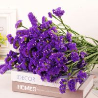 云南勿忘我满天星干花花束真花论斤卖装饰家居客厅摆件礼物批发 深紫勿1斤装