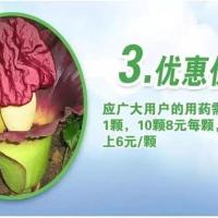 魔芋花魔芋干花魔芋鲜花干燥魔芋花魔芋干花魔芋鲜花干燥[3月