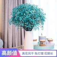 云南满天星干花装饰花束勿忘我真花小清新家居客厅摆设摆件干花束 蓝色满天星不含花瓶 干花包