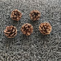 30个野生松果油松天然松塔工艺摆件道具拍照造景材料2-3cm 30个松果（3-4cm）