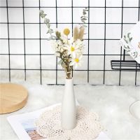 干花小花束装饰摆件小花瓶小清新干花真花尤加利叶拍照道具 文心兰小花束+小白瓶