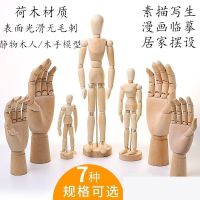 素描漫画12寸木人模型12寸木头人30CM木偶人关节人偶木手人收模特 4.5寸木人(11.4CM)