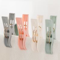 塑料晾衣夹袜子衣服裤防风夹晒衣夹子四色大小夹子50个装晒被夹 4个大夹子(见图)[1袋]