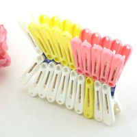 振兴大号晾晒夹 晾衣服夹子被子塑料小夹子 小号晾衣架防风防跑夹 20个混色(平钢圈)