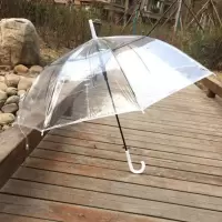 透明伞女学生韩版雨伞女ins森系半自动雨伞长柄雨伞晴雨两用雨伞 无图薄款(透明)