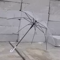 韩国ins原创可爱少女搞怪小猪猪黑胶防晒伞遮阳晴雨伞情侣雨伞 透明款