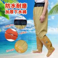 新款网腰下水裤钓鱼裤男高筒软底插秧靴女雨鞋大码捕鱼胶鞋防水鞋 平底黄色网腰裤a 35