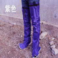 昌隆防水裤腿套分体雨衣雨裤子防湿鞋裤电动车防雨鞋套儿[3月 紫色 XXXL