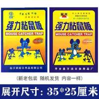 粘鼠板强力灭鼠老鼠贴强力家用一窝端灭鼠器粘老鼠板粘老鼠贴批发 3张粘鼠贴 (粘性好)