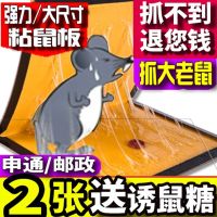 超强力粘鼠板老鼠贴灭鼠神器老鼠板老鼠笼子捉鼠沾鼠神器批发 2张装【送2包诱鼠糖】
