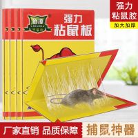 老鼠贴强力家用一锅端大号批发老鼠神器灭鼠板老鼠克星粘鼠板 三张装[不够用]