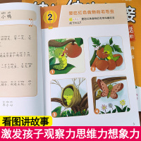 看图说话一年级幼小衔接学前班幼升小入学准备一日一练入门写话书带拼音句子词语全套专项训练人教版上小学语文故事书课外阅读绘本