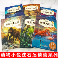 6册沈石溪动物小说大王精读系列珍藏版泣血鲸魂神风火烈鸟流星龙王小学生四五六年级课外阅读老师推荐9-12岁青少年儿童文学故
