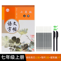 七八九年级上册下册同步人教版正楷练字帖漂亮楷书中学生衡水体汉字中文练习本奶酪体速成初一初二三钢笔硬笔书法本 七年级语文同