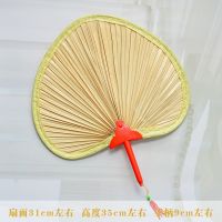 扇子大蒲扇芭蕉扇济公扇葵扇老人老式蒲草手工扇绘画扇棕叶烧烤扇 发1把[宽约31cm]