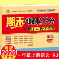 一年级期末试卷冲刺100分优选卷语文数学上册复习资料下册练习题 一年级上册 语文