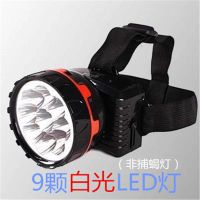 超亮蝎子灯捕蝎头灯紫光头灯LED强光远射充电头戴式手电筒抓豆虫 白光强光头灯(8白光+1白光)