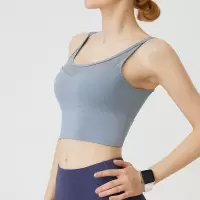 高强度跑步健身瑜伽女子训练运动防震运动文胸网纱速干内衣