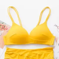 内衣女聚拢小胸性感薄款夏季文胸罩美背无钢圈调整型透气胸罩轻薄