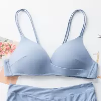 内衣女聚拢小胸性感薄款夏季文胸罩美背无钢圈调整型透气胸罩轻薄